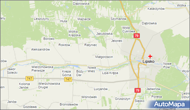 mapa Małgorzacin gmina Lipsko, Małgorzacin gmina Lipsko na mapie Targeo
