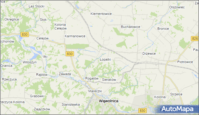 mapa Łopatki gmina Wąwolnica, Łopatki gmina Wąwolnica na mapie Targeo