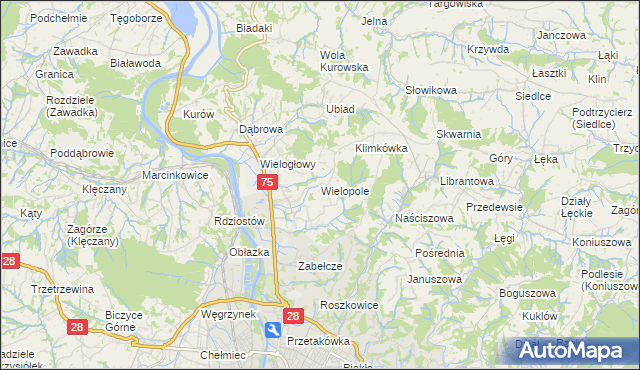 mapa Wielopole gmina Chełmiec, Wielopole gmina Chełmiec na mapie Targeo