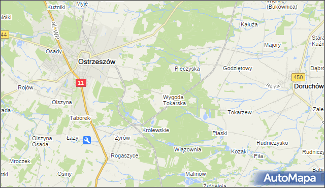 mapa Wygoda Tokarska, Wygoda Tokarska na mapie Targeo