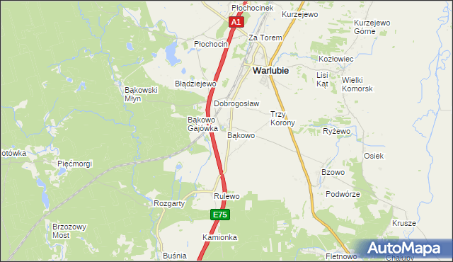 mapa Bąkowo gmina Warlubie, Bąkowo gmina Warlubie na mapie Targeo