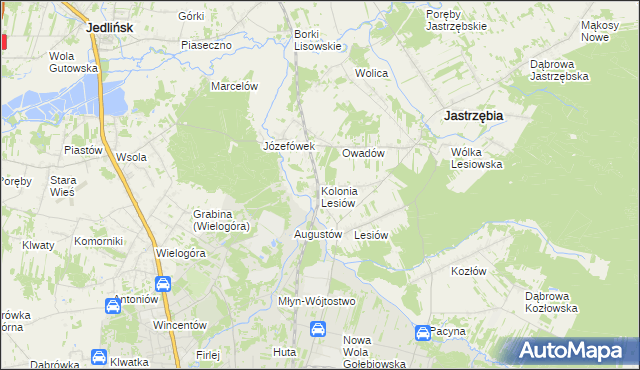 mapa Kolonia Lesiów, Kolonia Lesiów na mapie Targeo