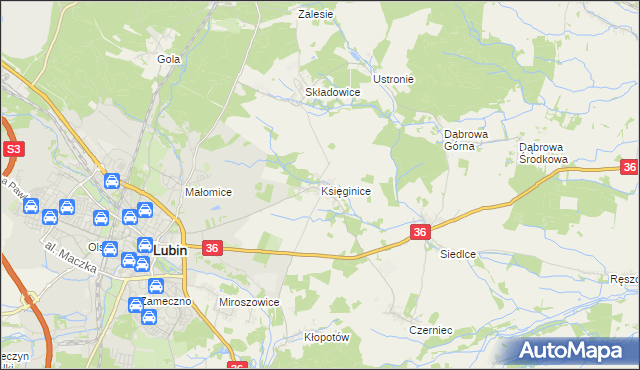 mapa Księginice gmina Lubin, Księginice gmina Lubin na mapie Targeo