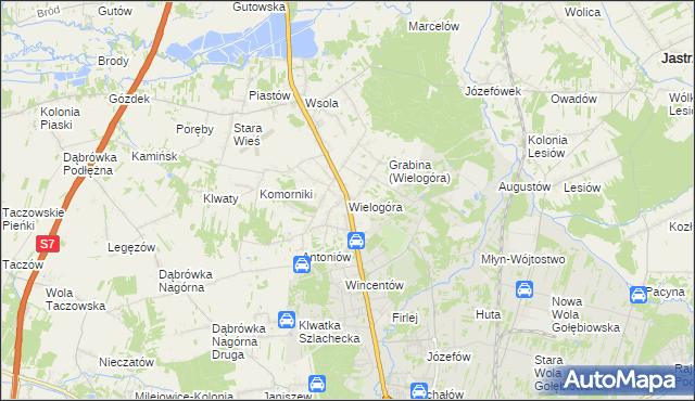 mapa Wielogóra gmina Jedlińsk, Wielogóra gmina Jedlińsk na mapie Targeo