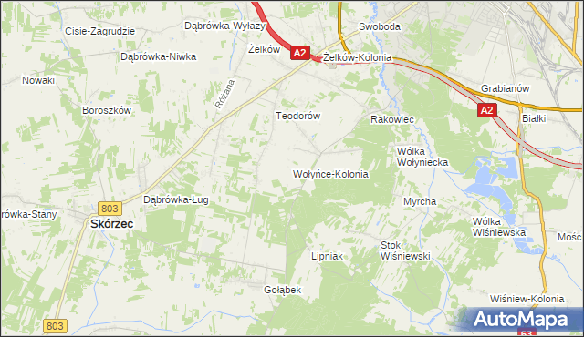 mapa Wołyńce-Kolonia, Wołyńce-Kolonia na mapie Targeo