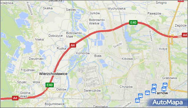 mapa Biała gmina Tarnów, Biała gmina Tarnów na mapie Targeo