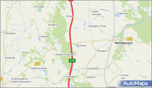 mapa Borkowo gmina Morzeszczyn, Borkowo gmina Morzeszczyn na mapie Targeo