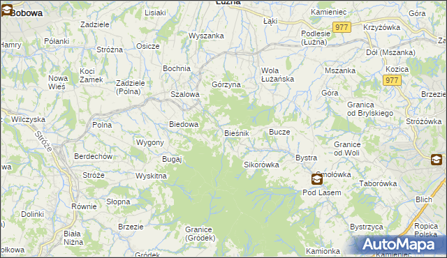 mapa Bieśnik gmina Łużna, Bieśnik gmina Łużna na mapie Targeo