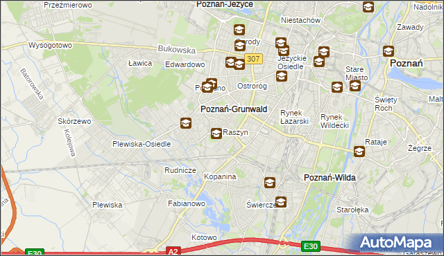 mapa Raszyn gmina Poznań, Raszyn gmina Poznań na mapie Targeo