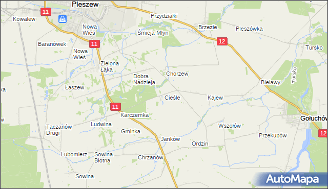 mapa Cieśle gmina Gołuchów, Cieśle gmina Gołuchów na mapie Targeo