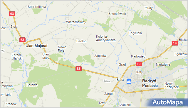mapa Żabików gmina Radzyń Podlaski, Żabików gmina Radzyń Podlaski na mapie Targeo