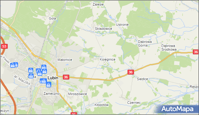 mapa Księginice gmina Lubin, Księginice gmina Lubin na mapie Targeo