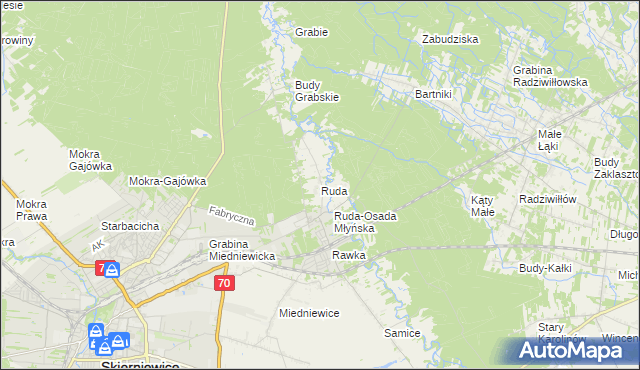 mapa Ruda gmina Skierniewice, Ruda gmina Skierniewice na mapie Targeo