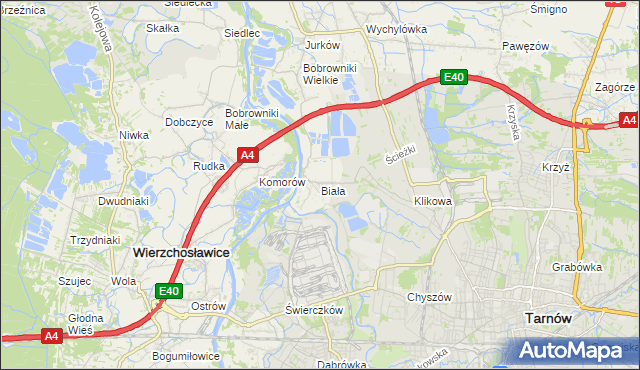 mapa Biała gmina Tarnów, Biała gmina Tarnów na mapie Targeo