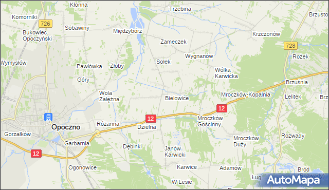 mapa Bielowice gmina Opoczno, Bielowice gmina Opoczno na mapie Targeo