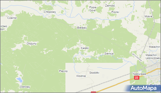 mapa Kwieki, Kwieki na mapie Targeo