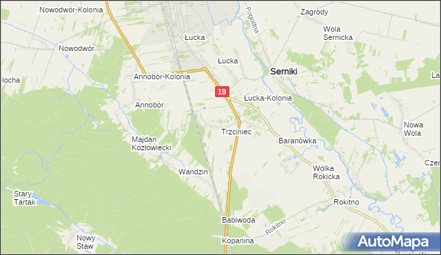 mapa Trzciniec gmina Lubartów, Trzciniec gmina Lubartów na mapie Targeo