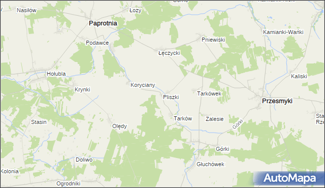 mapa Pliszki, Pliszki na mapie Targeo