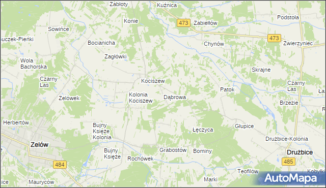 mapa Dąbrowa gmina Zelów, Dąbrowa gmina Zelów na mapie Targeo
