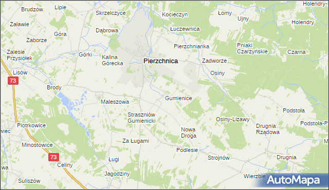 mapa Gumienice gmina Pierzchnica, Gumienice gmina Pierzchnica na mapie Targeo