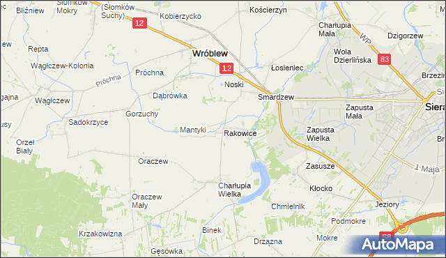 mapa Rakowice gmina Wróblew, Rakowice gmina Wróblew na mapie Targeo