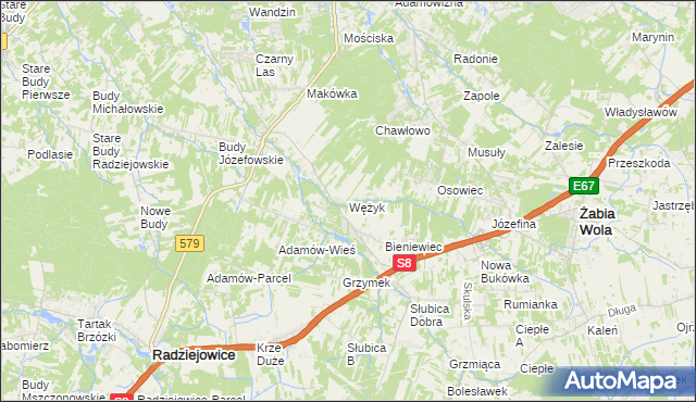 mapa Wężyk, Wężyk na mapie Targeo