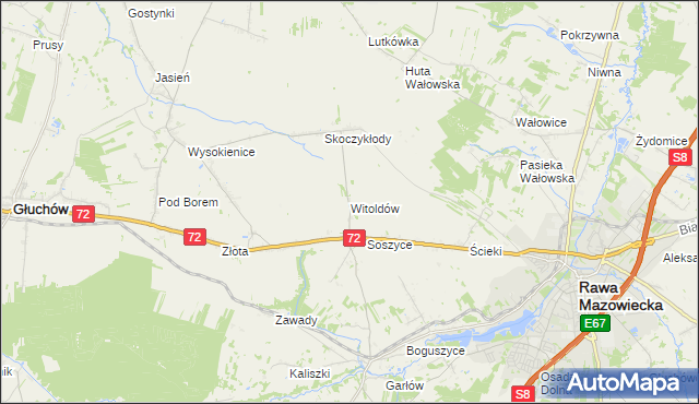 mapa Witoldów gmina Głuchów, Witoldów gmina Głuchów na mapie Targeo