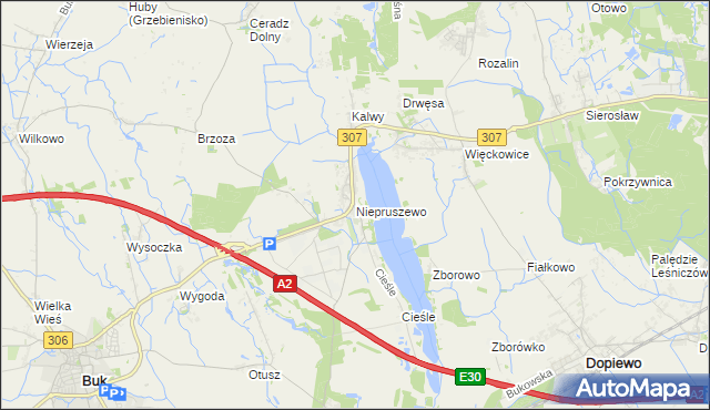 mapa Niepruszewo, Niepruszewo na mapie Targeo