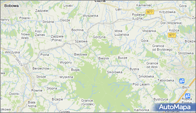 mapa Bieśnik gmina Łużna, Bieśnik gmina Łużna na mapie Targeo