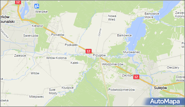 mapa Przygłów, Przygłów na mapie Targeo