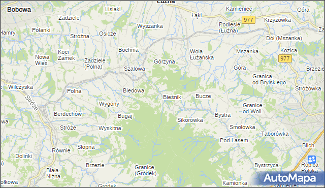 mapa Bieśnik gmina Łużna, Bieśnik gmina Łużna na mapie Targeo