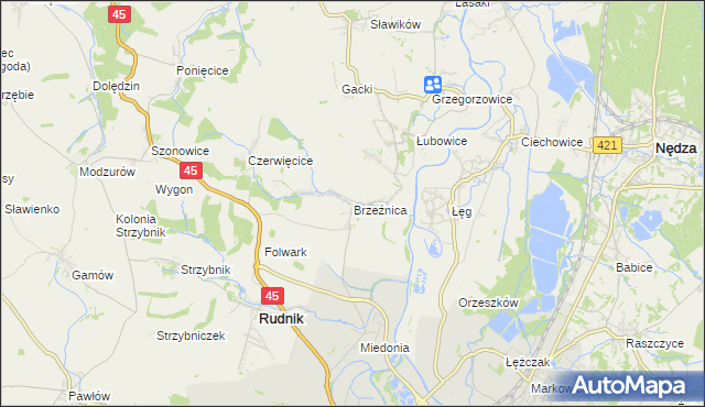 mapa Brzeźnica gmina Rudnik, Brzeźnica gmina Rudnik na mapie Targeo