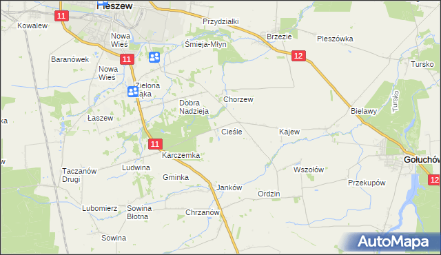 mapa Cieśle gmina Gołuchów, Cieśle gmina Gołuchów na mapie Targeo