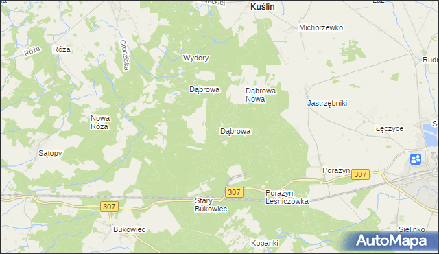 mapa Dąbrowa gmina Opalenica, Dąbrowa gmina Opalenica na mapie Targeo