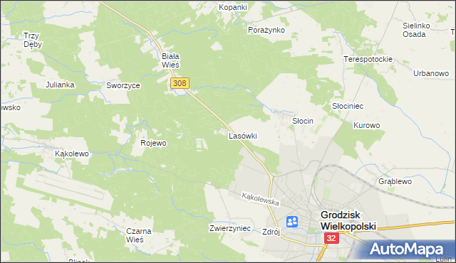 mapa Lasówki gmina Grodzisk Wielkopolski, Lasówki gmina Grodzisk Wielkopolski na mapie Targeo