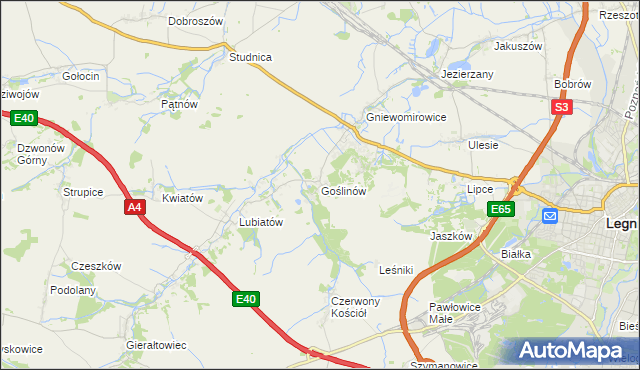 mapa Goślinów, Goślinów na mapie Targeo