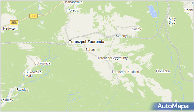 mapa Tereszpol-Zygmunty, Tereszpol-Zygmunty na mapie Targeo