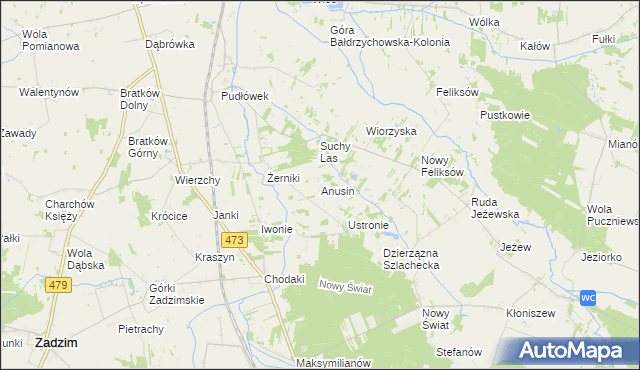 mapa Anusin gmina Zadzim, Anusin gmina Zadzim na mapie Targeo