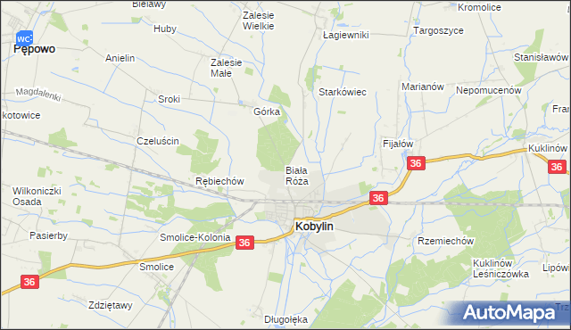 mapa Biała Róża gmina Kobylin, Biała Róża gmina Kobylin na mapie Targeo