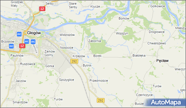mapa Borek gmina Głogów, Borek gmina Głogów na mapie Targeo