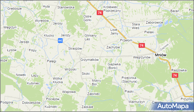 mapa Borki gmina Mniów, Borki gmina Mniów na mapie Targeo