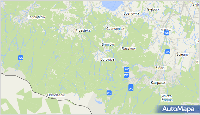 mapa Borowice gmina Podgórzyn, Borowice gmina Podgórzyn na mapie Targeo