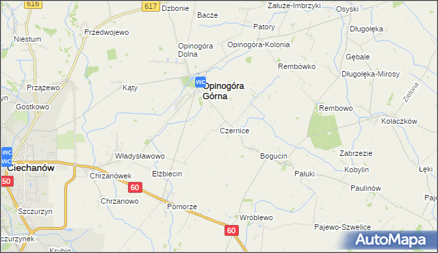mapa Czernice gmina Opinogóra Górna, Czernice gmina Opinogóra Górna na mapie Targeo