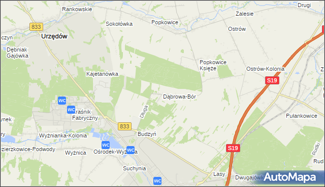 mapa Dąbrowa-Bór, Dąbrowa-Bór na mapie Targeo