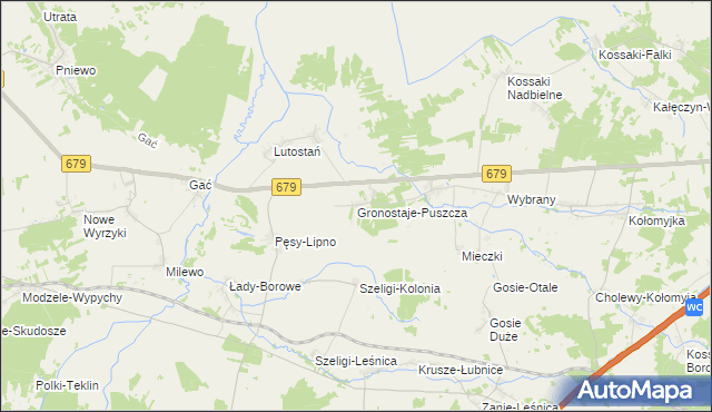 mapa Gronostaje-Puszcza, Gronostaje-Puszcza na mapie Targeo