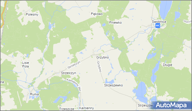 mapa Grzybno gmina Chojna, Grzybno gmina Chojna na mapie Targeo