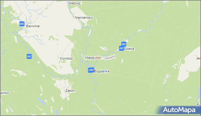 mapa Jaźwiny gmina Drawno, Jaźwiny gmina Drawno na mapie Targeo