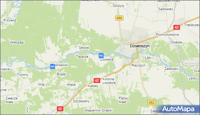mapa Lisowice gmina Działoszyn, Lisowice gmina Działoszyn na mapie Targeo