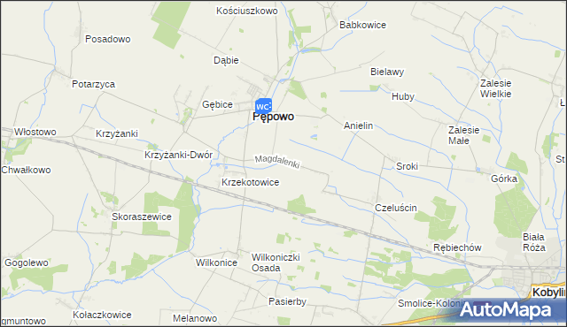 mapa Magdalenki gmina Pępowo, Magdalenki gmina Pępowo na mapie Targeo