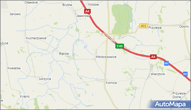 mapa Młodoszowice, Młodoszowice na mapie Targeo